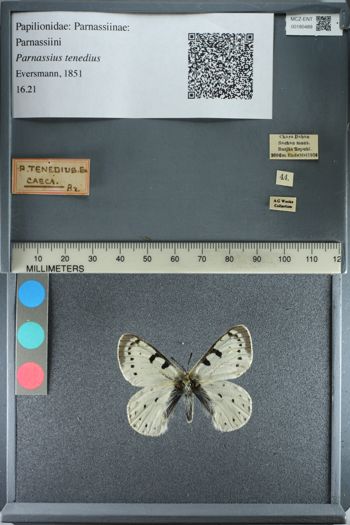 Media type: image;   Entomology 180489